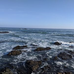 Meet your Posher, ZJ